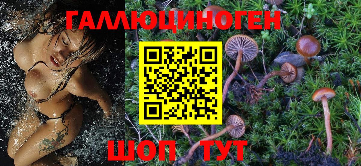 Новый Уренгой  Галлюциногенные грибы GOLDEN TEACHER  Галлюциногенные грибы Cubensis  Вход с VPN 